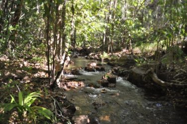 Litchfield Florence Falls and Buley Rockhole041 Litchfield Florence Falls 069 DSC 0218 scaled Litchfield Florence Falls and Buley Rockhole041 Litchfield Florence Falls 069 DSC 0218 scaled