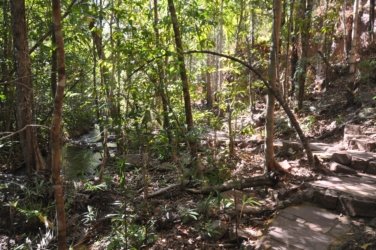 Litchfield Florence Falls and Buley Rockhole047 Litchfield Florence Falls 075 DSC 0224 scaled Litchfield Florence Falls and Buley Rockhole047 Litchfield Florence Falls 075 DSC 0224 scaled