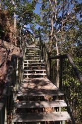 Litchfield Florence Falls and Buley Rockhole053 Litchfield Florence Falls 082 DSC 0230 scaled Litchfield Florence Falls and Buley Rockhole053 Litchfield Florence Falls 082 DSC 0230 scaled