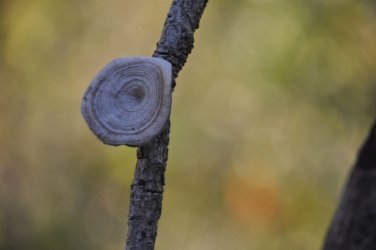 Litchfield Florence falls 002 Lucys Rest 014 DSC 0944 scaled Litchfield Florence falls 002 Lucys Rest 014 DSC 0944 scaled