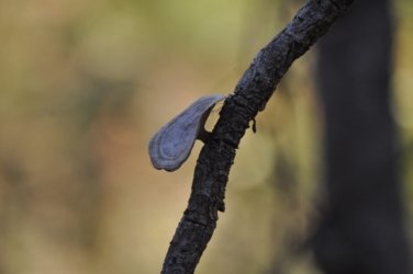 Litchfield Florence falls 003 Lucys Rest 015 DSC 0945 scaled Litchfield Florence falls 003 Lucys Rest 015 DSC 0945 scaled