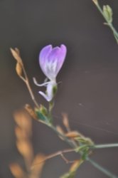 Litchfield Florence falls 005 Lucys Rest 017 DSC 0947 scaled Litchfield Florence falls 005 Lucys Rest 017 DSC 0947 scaled