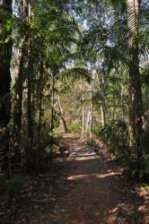 Litchfield Bamboo Creek Tin Mine 002 DSC 0115 Litchfield Bamboo Creek Tin Mine 002 DSC 0115