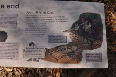 Litchfield Bamboo Creek Tin Mine 012 DSC 0125 Litchfield Bamboo Creek Tin Mine 012 DSC 0125