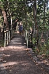 Litchfield Greenant Creek 002 DSC 0016 Litchfield Greenant Creek 002 DSC 0016