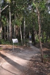 Litchfield Greenant Creek 003 DSC 0017 Litchfield Greenant Creek 003 DSC 0017