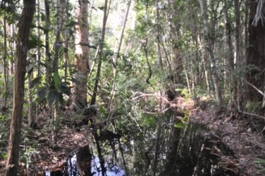 Litchfield Greenant Creek 004 DSC 0018 Litchfield Greenant Creek 004 DSC 0018