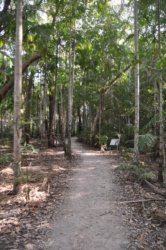 Litchfield Greenant Creek 007 DSC 0021 Litchfield Greenant Creek 007 DSC 0021