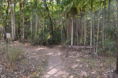 Litchfield Greenant Creek 014 DSC 0028 Litchfield Greenant Creek 014 DSC 0028