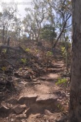 Litchfield Greenant Creek 028 DSC 0045 Litchfield Greenant Creek 028 DSC 0045