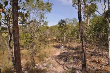 Litchfield Greenant Creek 032 DSC 0049 Litchfield Greenant Creek 032 DSC 0049