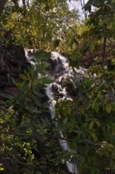 Litchfield Greenant Creek 037 DSC 0054 Litchfield Greenant Creek 037 DSC 0054