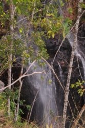 Litchfield Greenant Creek 038 DSC 0055 Litchfield Greenant Creek 038 DSC 0055