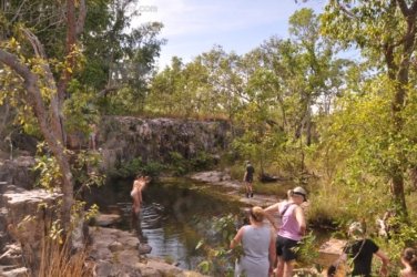 Litchfield Greenant Creek 041 DSC 0058 Litchfield Greenant Creek 041 DSC 0058