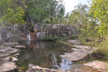 Litchfield Greenant Creek 043 DSC 0060 Litchfield Greenant Creek 043 DSC 0060