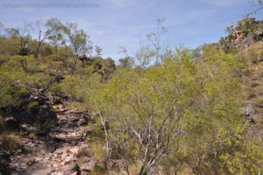 Litchfield Tolmer Falls 021 DSC 0978 Litchfield Tolmer Falls 021 DSC 0978