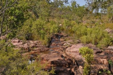 Litchfield Tolmer Falls 029 DSC 0986 Litchfield Tolmer Falls 029 DSC 0986