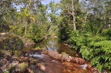 Litchfield Walker Creek 004 DSC 0137 Litchfield Walker Creek 004 DSC 0137
