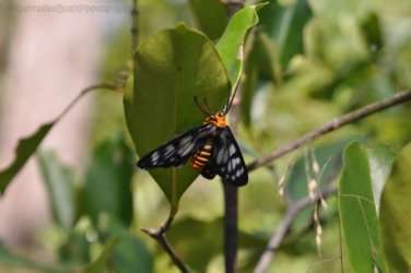 Litchfield Walker Creek 006 DSC 0139 Litchfield Walker Creek 006 DSC 0139