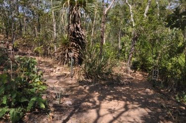 Litchfield Walker Creek 011 DSC 0144 Litchfield Walker Creek 011 DSC 0144