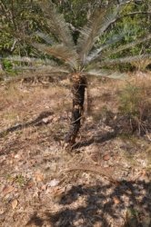 Litchfield Walker Creek 017 DSC 0150 Litchfield Walker Creek 017 DSC 0150