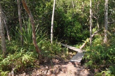 Litchfield Walker Creek 019 DSC 0152 Litchfield Walker Creek 019 DSC 0152