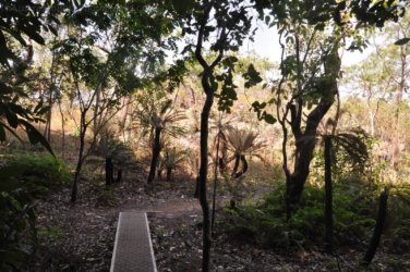 Litchfield Walker Creek 022 DSC 0155 Litchfield Walker Creek 022 DSC 0155