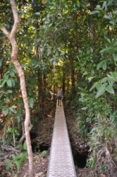 Litchfield Walker Creek 023 DSC 0156 Litchfield Walker Creek 023 DSC 0156