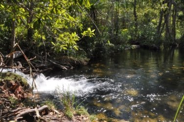 Litchfield Walker Creek 026 DSC 0159 Litchfield Walker Creek 026 DSC 0159