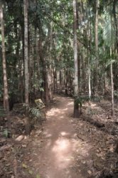 Litchfield Wangi Falls 019 DSC 0070 Litchfield Wangi Falls 019 DSC 0070