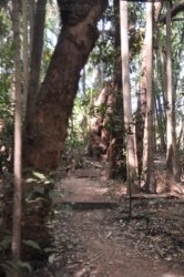 Litchfield Wangi Falls 022 DSC 0073 Litchfield Wangi Falls 022 DSC 0073