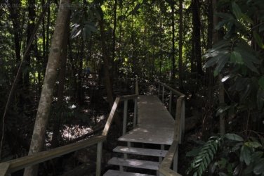 Litchfield Wangi Falls 024 DSC 0075 Litchfield Wangi Falls 024 DSC 0075