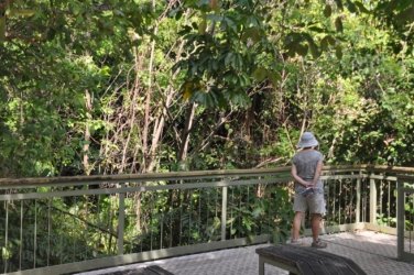 Litchfield Wangi Falls 027 DSC 0078 Litchfield Wangi Falls 027 DSC 0078