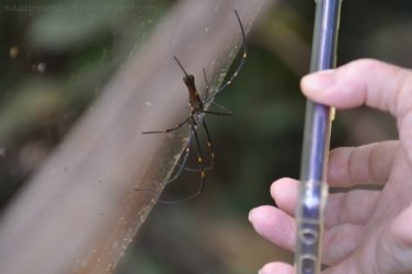 Litchfield Wangi Falls 031 DSC 0084 Litchfield Wangi Falls 031 DSC 0084