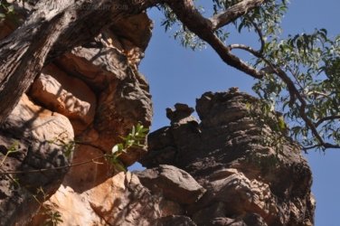Litchfield Lost City 013 DSC 0245