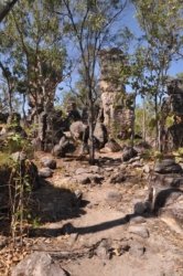Litchfield Lost City 043 DSC 0275