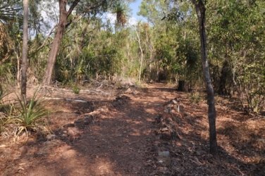 Berry Springs Nature Park 002 DSC 0600 Berry Springs Nature Park 002 DSC 0600