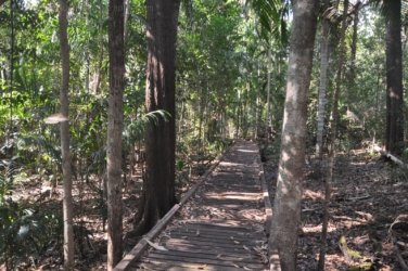 Berry Springs Nature Park 007 DSC 0605 Berry Springs Nature Park 007 DSC 0605