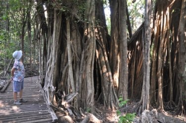 Berry Springs Nature Park 020 DSC 0618 Berry Springs Nature Park 020 DSC 0618