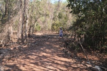 Berry Springs Nature Park 023 DSC 0621 Berry Springs Nature Park 023 DSC 0621