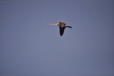 Mt Nancar Wilderness Retreat Daly River 072 DSC 0385 Mt Nancar Wilderness Retreat Daly River 072 DSC 0385
