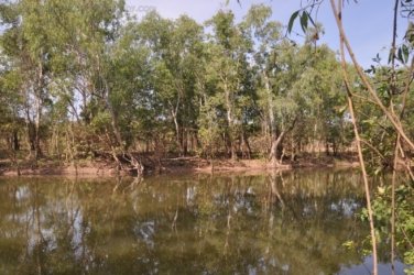 Mt Nancar Wilderness Retreat Daly River 138 DSC 0452 Mt Nancar Wilderness Retreat Daly River 138 DSC 0452