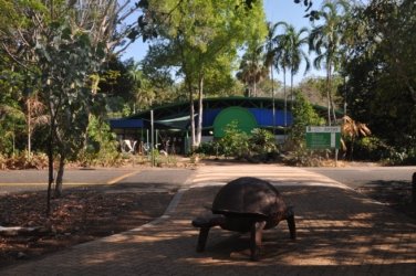 NT Wildlife Park Berry Springs 001 DSC 0473 NT Wildlife Park Berry Springs 001 DSC 0473