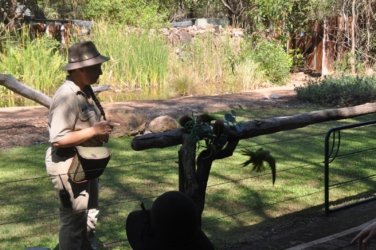 NT Wildlife Park Berry Springs 003 DSC 0475 NT Wildlife Park Berry Springs 003 DSC 0475