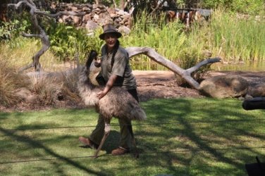 NT Wildlife Park Berry Springs 010 DSC 0482 NT Wildlife Park Berry Springs 010 DSC 0482