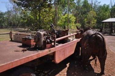 NT Wildlife Park Berry Springs 043 DSC 0515 NT Wildlife Park Berry Springs 043 DSC 0515