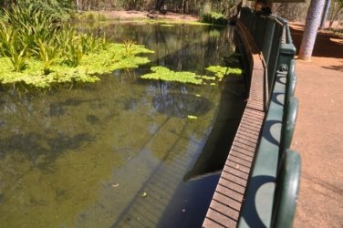 NT Wildlife Park Berry Springs 055 DSC 0527 NT Wildlife Park Berry Springs 055 DSC 0527