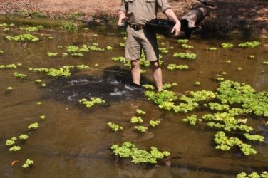 NT Wildlife Park Berry Springs 075 DSC 0547 NT Wildlife Park Berry Springs 075 DSC 0547