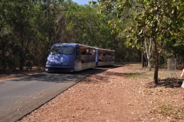 NT Wildlife Park Berry Springs 076 DSC 0548 NT Wildlife Park Berry Springs 076 DSC 0548