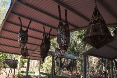 NT Wildlife Park Berry Springs 124 DSC 0598 NT Wildlife Park Berry Springs 124 DSC 0598